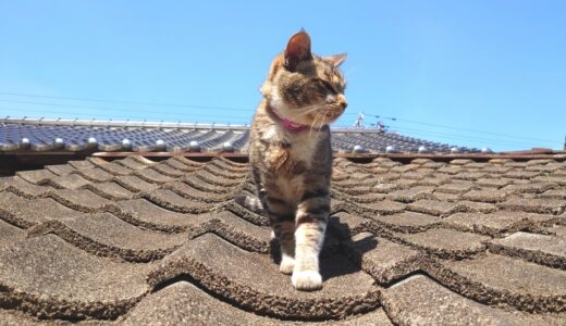 瓦屋根の重さを瓦の種類から屋根材別に徹底比較！