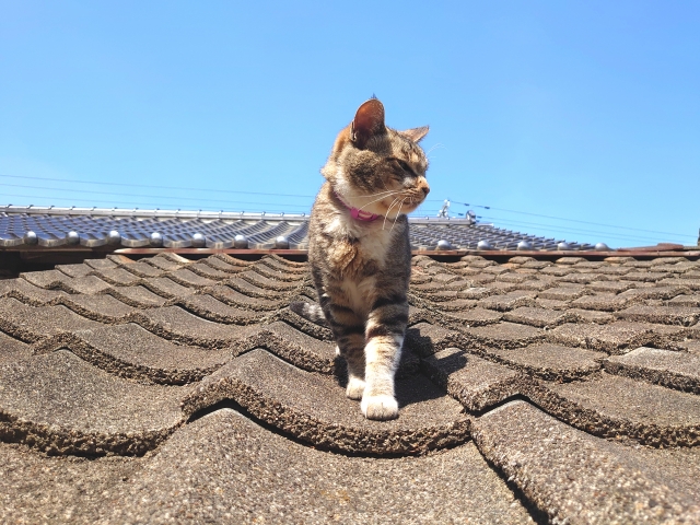 瓦屋根の重さを瓦の種類から屋根材別に徹底比較！