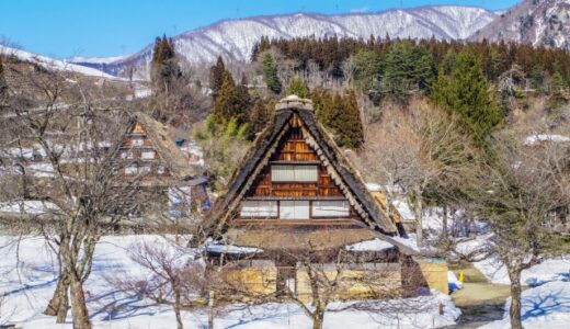 文化遺産を守る！白川郷の茅葺き屋根葺き替えの全工程