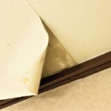 天井クロスの膨らみは雨漏りが原因？見分け方と正しい対処法を徹底解説