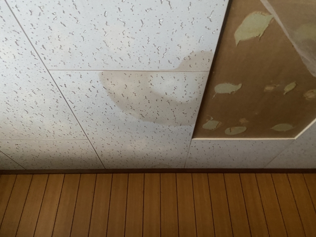 雨漏りで天井の張替えが必要？費用相場と安く抑えるコツを徹底解説