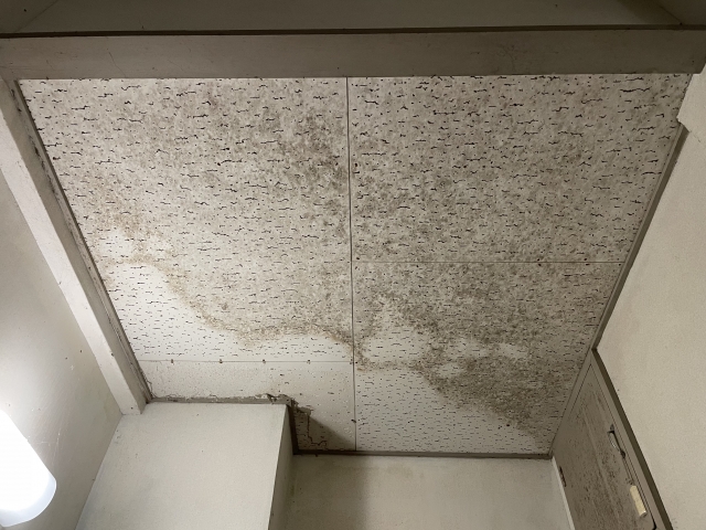 マンションで下の階に雨漏り！原因と責任、トラブルを防ぐ方法を徹底解説