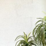 ジョリパットの下地にサイディングは使える？メリットデメリットを徹底解説！