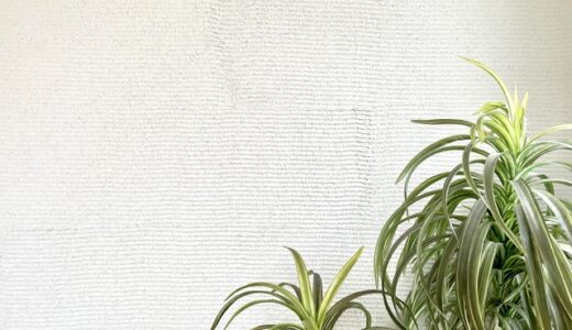 ジョリパットの下地にサイディングは使える？メリットデメリットを徹底解説！