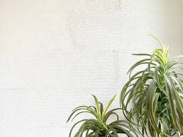 ジョリパットの下地にサイディングは使える？メリットデメリットを徹底解説！